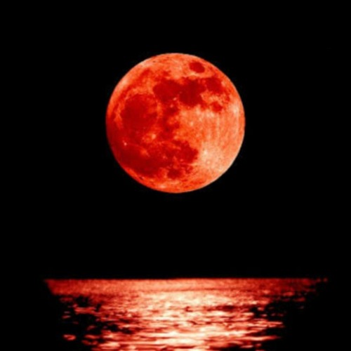 Maledetta luna
