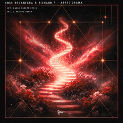Coss Bocanegra & Richard P - Arpegiorama