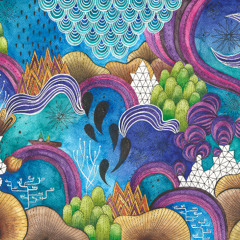 Šuma i Šumski Plodovi Closing Set 2025