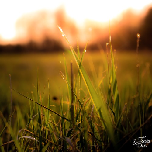 TINKA&DAN - Changed (Original Mix) [Free Download]