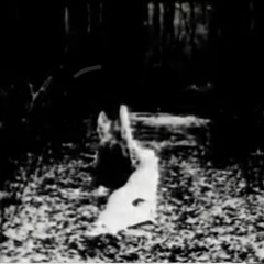 Kompletter Blechschaden