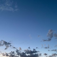 Brown-Ode to a Black woman