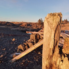 All Days And All Nights