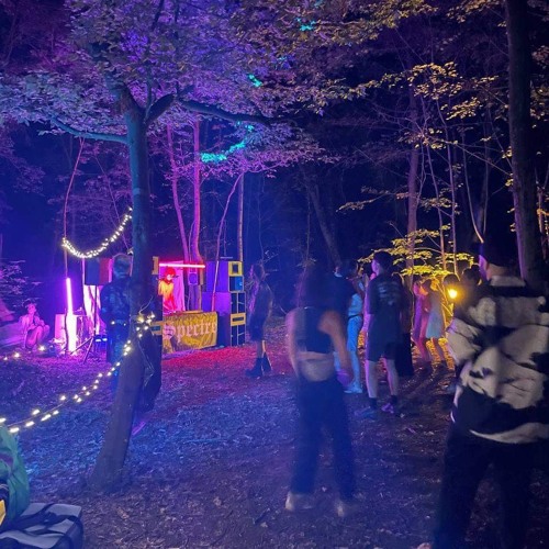 Deep in the Forest