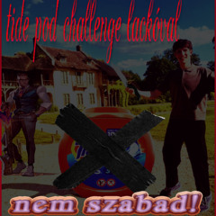 type (sladerr)