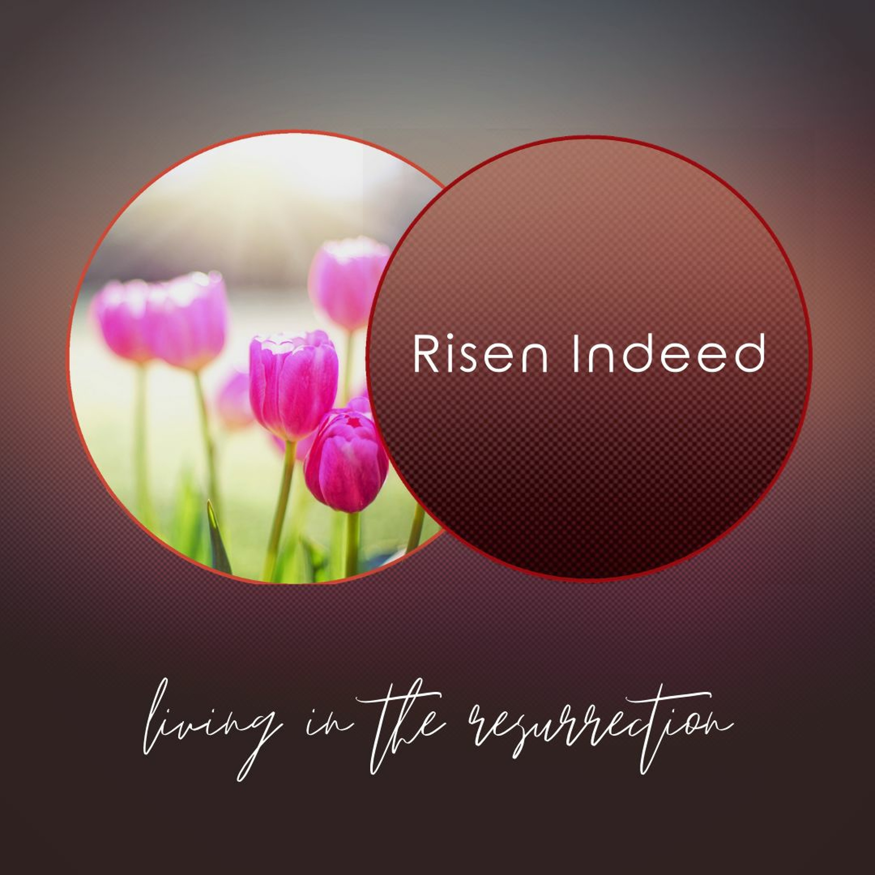 Renew Covenant Church Sermons