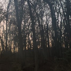 Don’t Drug Test Me (prod. cosy) {eng. xamss}