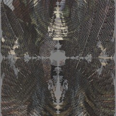 AYIM @ Omen Wapta Weekender - Bar40 Garage Noord - 1-2/11/25