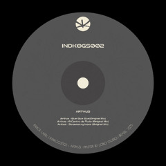 PREMIERE: Arthus - Strawberry Iceee (Original Mix)[INDKOGS002]