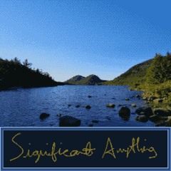 Significant Anything