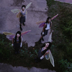 butterfly (feat.StarBoyZ)
