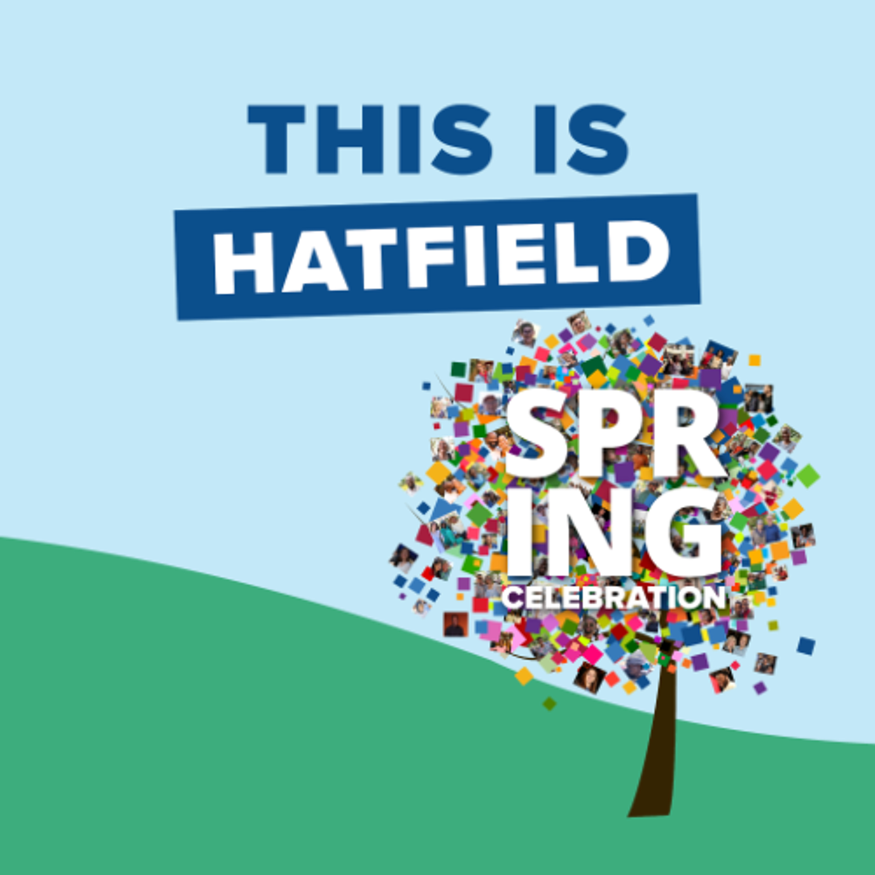 This is Hatfield | Louis Kotzé