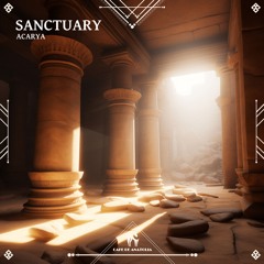 Acarya - Visionary (Cafe De Anatolia)