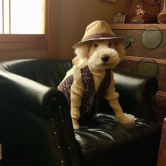 on the L andreascore ##hopefull