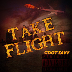 TAKE FLIGHT - GDOT SAVV