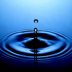 liquid