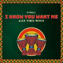 Pitbull - I Know You Want Me (Alex Vibes Afro Remix) *FILTERED FOR COPYRIGHT*