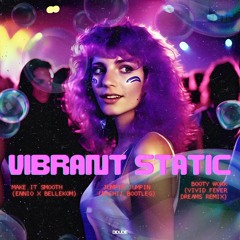 Vibrant Static (didUdie mix)