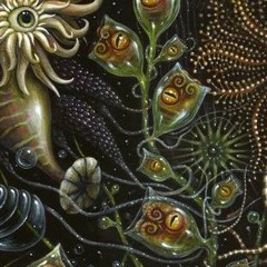 Course Poursuite To Gabber Wish