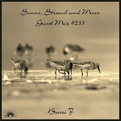Sonne, Strand und Meer Guest Mix #233 by Bassi J