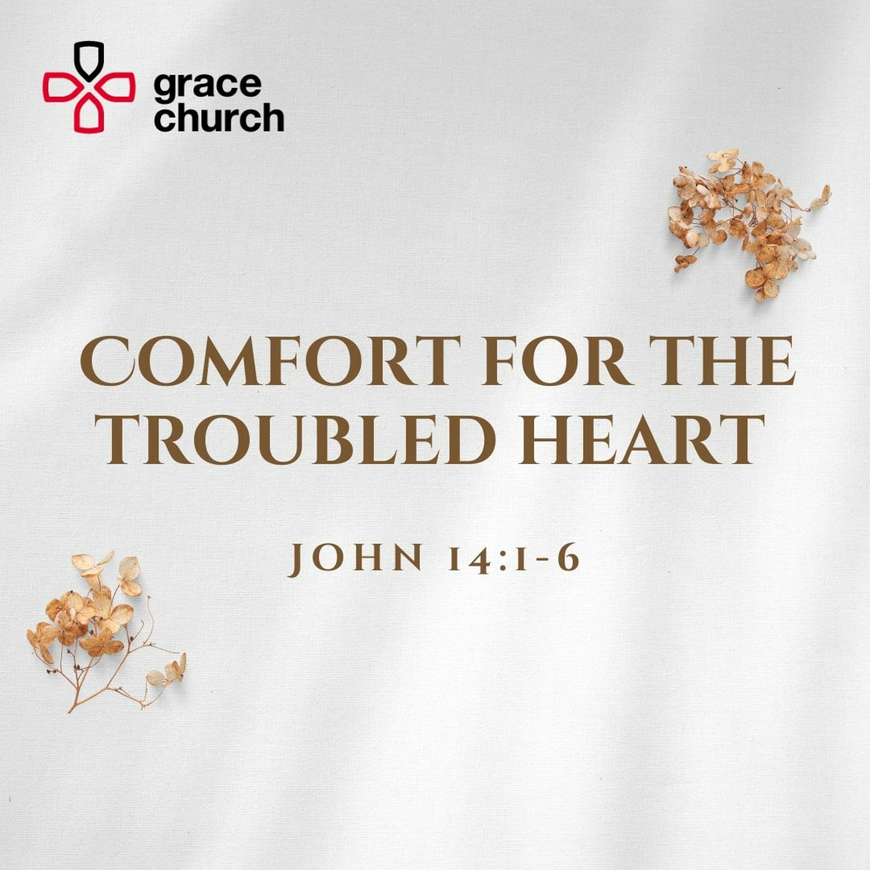 Comfort for the Troubled Heart | John 14:1-6 | 05/11/23 | Matt Chapman