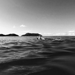 FREEDOM - AMANDA SONODA