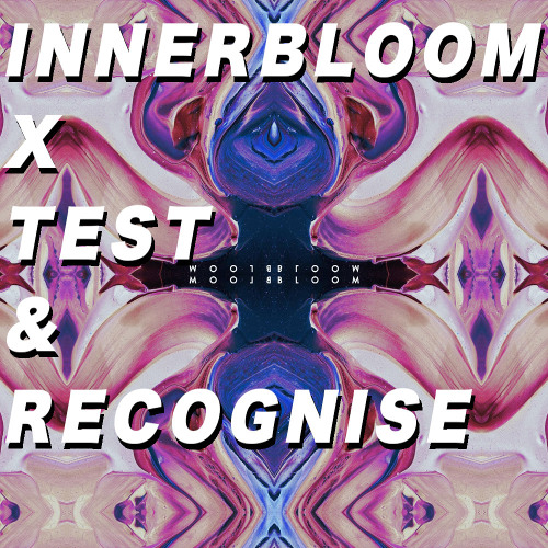 Stream Innerbloom x Test & Recognise (Sick Neighbor Garage Mix) by Sick ...