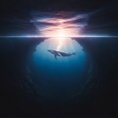Stillness Below
