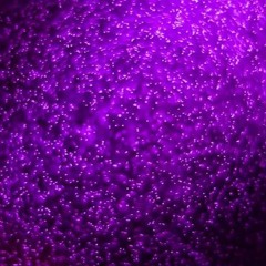 Purple w/ PrinceCarl