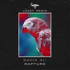 Nadia Ali- Rapture (JOSËF Remix) [Extended]