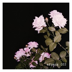 kfpnyx 022 by stomp
