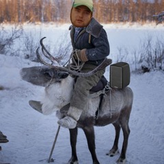 Reinsdyr Råner (prod. BigBadBeats)