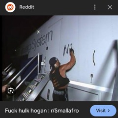 Fuck Hulk Hogan