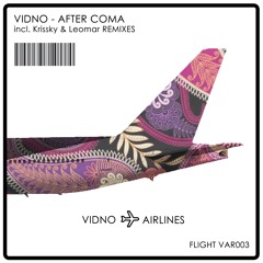 Vidno - After Coma