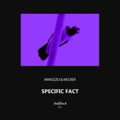 PREMIERE: Minozzo & Necker - Specific Fact (Original Mix) [Bullfinch Records]