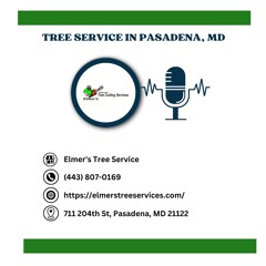 can-tree-removal-affect-the-value-of-my-property-in-pasadena-md