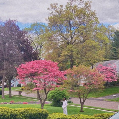 Geekz Feat. MGuapo [Drego]