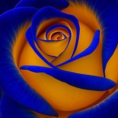 Blue Suede