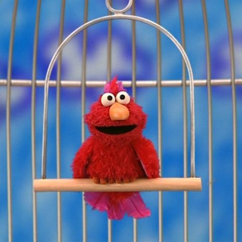 Stream Elmo's World Bird In A Gilded Cage Acapella by Sarah Freder...
