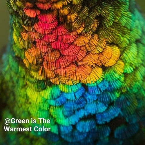 Green is The Warmest Color 7.7.7  Ceros Pride Mix Series