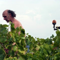 Domaine Michel Isouard - Transition Agricole Episode 2