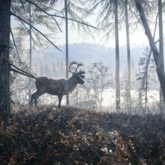14 Yukon Valley Main Theme  TheHunter Call Of The Wild Soundtrack