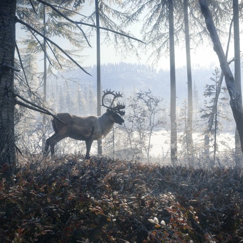 14 Yukon Valley Main Theme  TheHunter Call Of The Wild Soundtrack