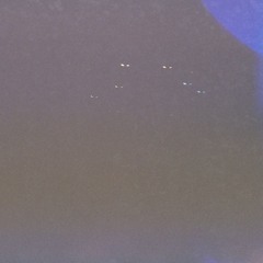nightskies