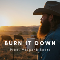 Burn It Down (Chris Stapleton x Luke Combs Country Rock Type Beat)