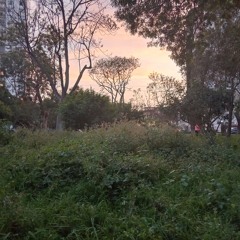 ataquemos-contigo (cover).mp:3 mikiko