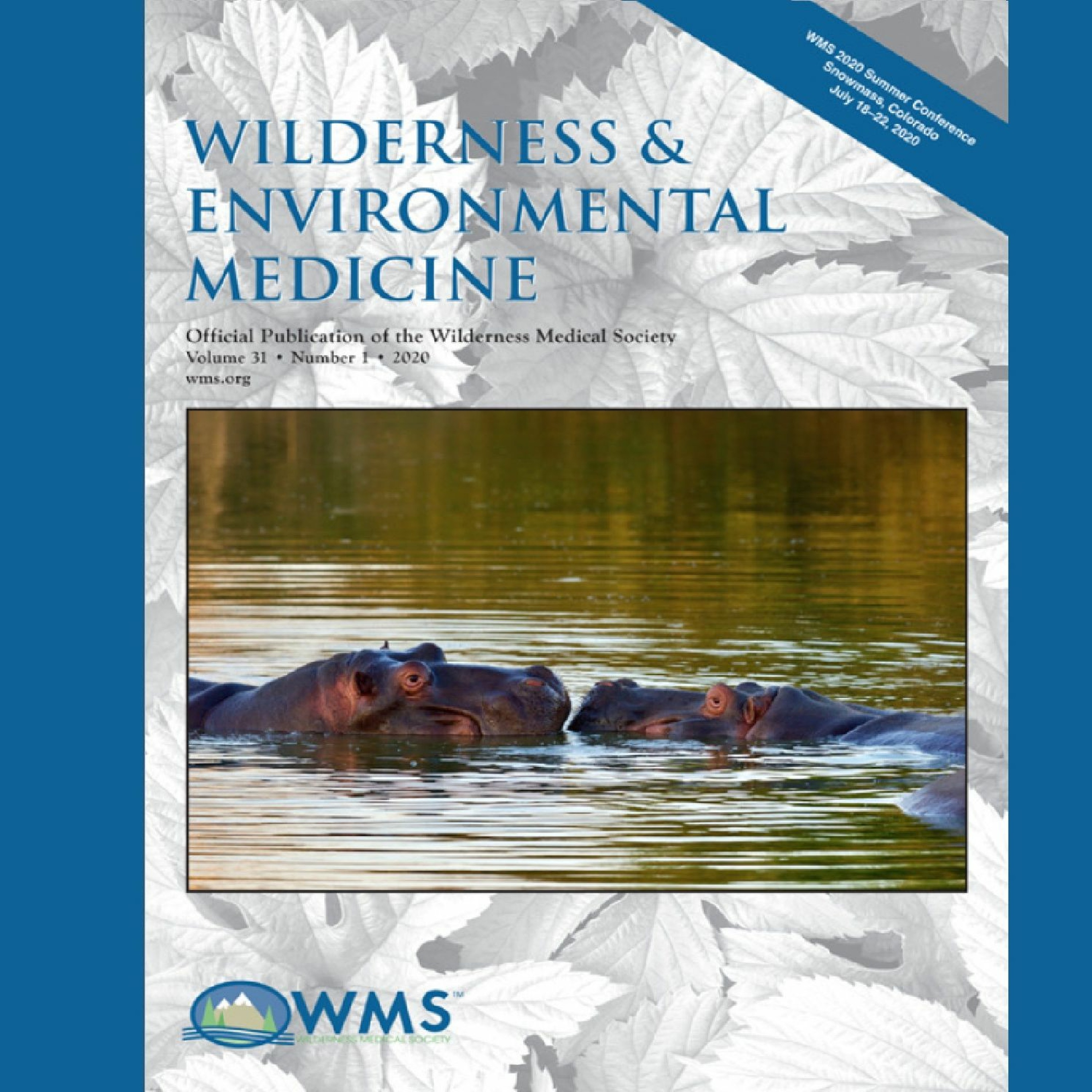 Wilderness Medicine Podcast
