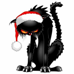 The Disgruntled Cat