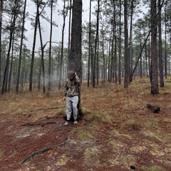 brat (5kjordn1 + chop)