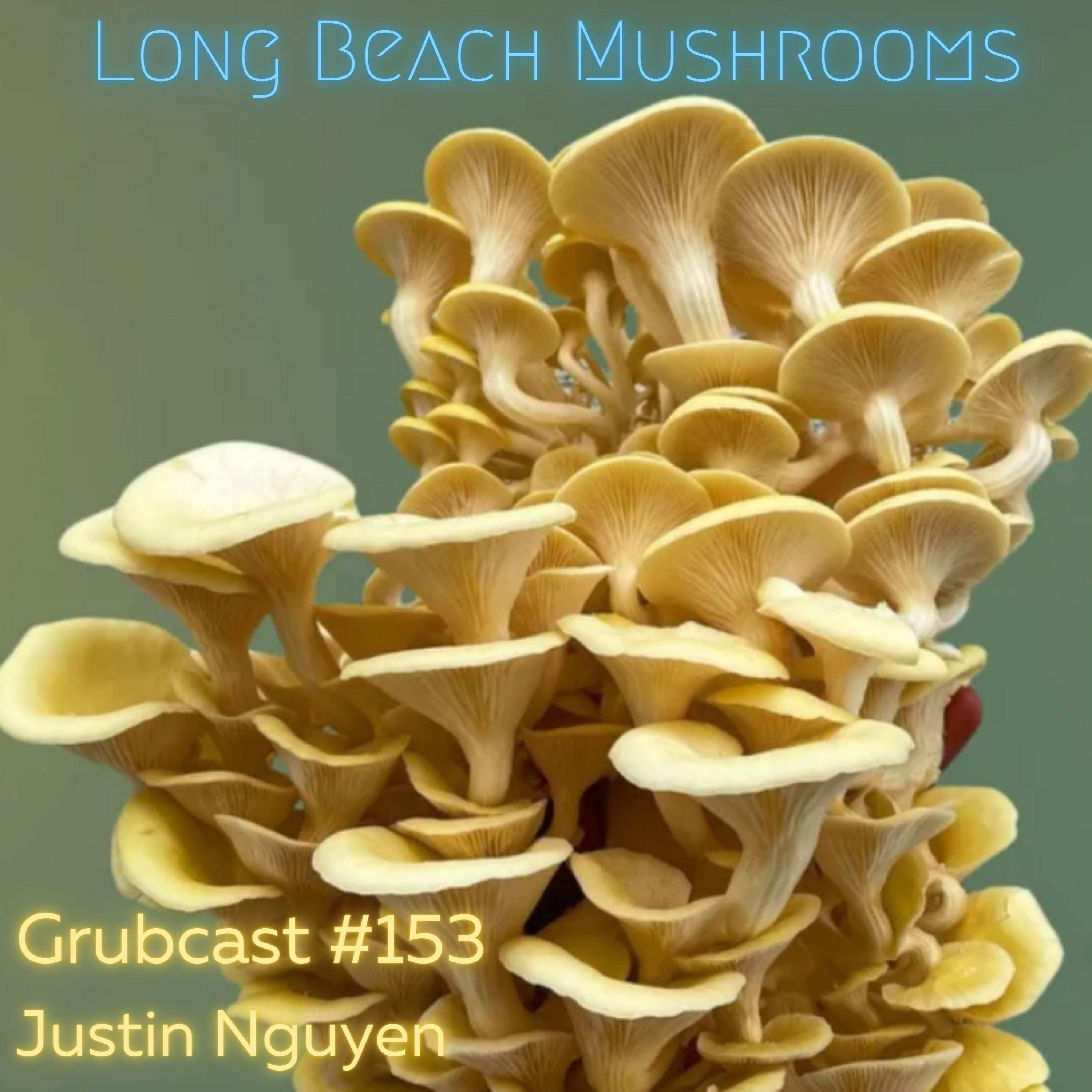 Grubcast #153 Long Beach Mushrooms - Justin Nguyen